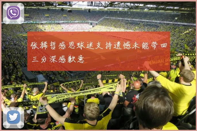 张稀哲感恩球迷支持遗憾未能带回三分深感歉意