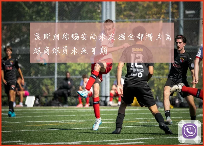 莫斯利称锡安尚未发掘全部潜力高球商球员未来可期