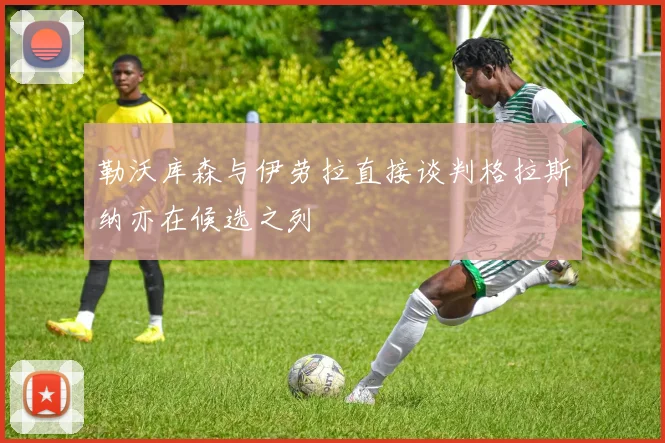 勒沃库森与伊劳拉直接谈判格拉斯纳亦在候选之列